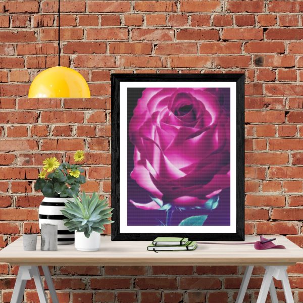 Illuminated Rose Discount - Image 4