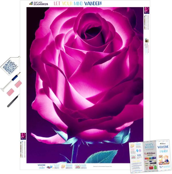 Illuminated Rose Discount