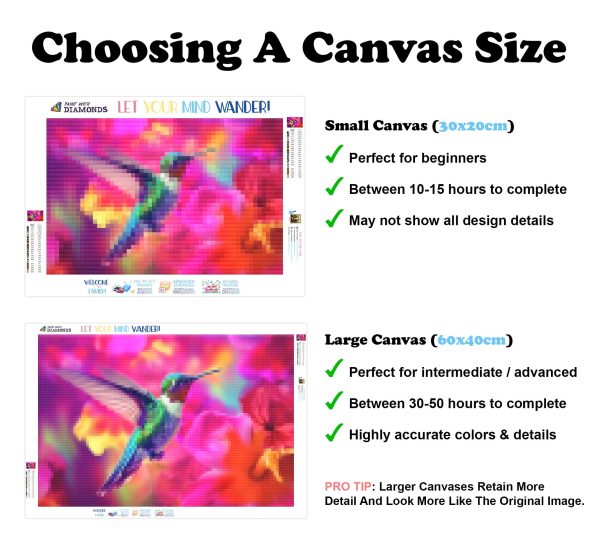 Hovering Over A Flower For Discount - Image 3