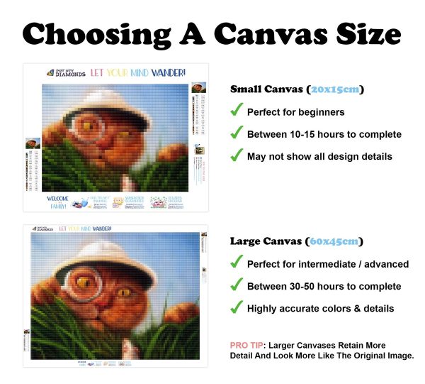 Explorer Hot on Sale - Image 4