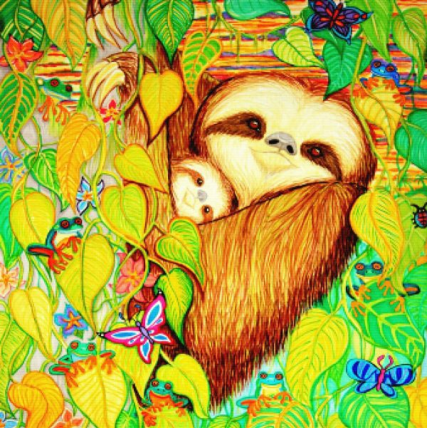 Rain Forest Survival Mother and Baby Three Toed Sloth For Sale - Image 3