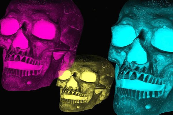 Tri Chrome Skulls Cheap - Image 2