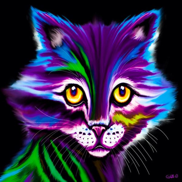 Colorful Striped Cat For Cheap - Image 2