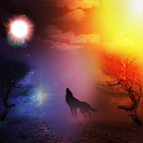 Surreal Wolf Landscape Supply - Image 2